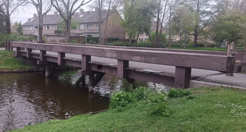 Vervanging geelkruid-brug